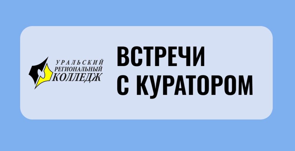 Графики встреч с кураторами